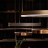 Occhio Mito Sospeso 60 Fix Up Table Pendant Light LED head gold matt/ceiling rose white matt - DALI