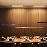Occhio Mito Volo 100 Fix Up Table Pendant Light LED head white matt/ceiling rose black matt - DALI application picture