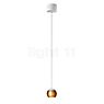 Oligo Balino, lámpara de suspensión 1 foco LED - altura ajustable de forma invisible florón cromo mate - cabezal dorado