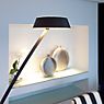 Oligo Glance Arc Lamp LED grey matt application picture