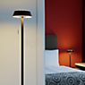 Oligo Glance Floor Lamp LED black matt application picture