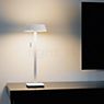 Oligo Glance Lampada da tavolo LED bianco opaco - immagine di applicazione