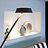 Oligo Glance Lampadaire arc LED cachemire mat - produit en situation