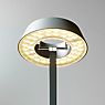 Oligo Glance Lampe de table LED courbé beige