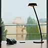 Oligo Glance Lampe de table LED courbé noir mat - produit en situation