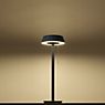 Oligo Glance Lampe de table LED noir mat