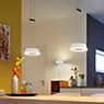 Oligo Glance Suspension LED 2 foyers blanc mat - produit en situation