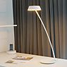 Oligo Glance Table Lamp LED curved black matt application picture