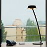 Oligo Glance Table Lamp LED curved black matt application picture