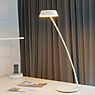 Oligo Glance Table Lamp LED curved grey matt application picture