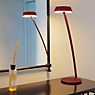 Oligo Glance Table Lamp LED curved red matt application picture