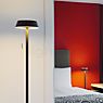 Oligo Glance Vloerlamp LED rood mat productafbeelding