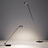 Oligo Kelveen Vloerlamp LED zwart - 2.700 k - 154 cm