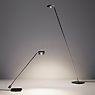 Oligo Kelveen, lámpara de pie LED grafito - 2.700 k - 154 cm