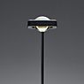 Oligo Kelveen, lámpara de pie LED negro - 2.700 k - 154 cm