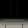 Oligo Lisgo Sky Straight Suspension LED noir mat - 187,5 cm