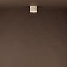 Oligo Tudor Ceiling Light LED grey matt - 14 cm