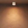 Oligo Tudor Ceiling Light LED grey matt - 14 cm