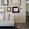 Oluce Amanita Floor Lamp LED bronze/gold application picture