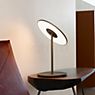 Pablo Designs Circa Lampe de table LED graphite , fin de série - produit en situation