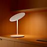 Pablo Designs Circa, lámpara de sobremesa LED grafito , artículo en fin de serie - ejemplo de uso previsto
