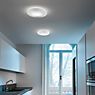 Panzeri Disco Wall/Ceiling light LED ø50 cm application picture