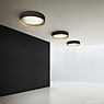 Panzeri Ginevra, lámpara de techo LED negro/dorado - 50 cm - 3.000 K - ejemplo de uso previsto