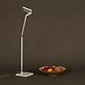 Panzeri Jackie Table lamp LED in the 3D viewing mode for a closer look