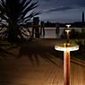 Panzeri Venexia Outdoor Luce del piedistallo LED legno/ottone - immagine di applicazione