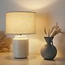 Pauleen Charming Bloom Table Lamp beige application picture