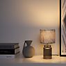 Pauleen Classy Velvet Table Lamp velvet/smoked glass application picture