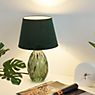 Pauleen Crystal Velvet Table Lamp green application picture