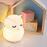 Pauleen Night Owl Battery Light LED white , discontinued product application picture
