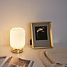 Pauleen Noble Purity Table Lamp white/champagne gold application picture