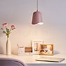 Pauleen Rose Delight Hanglamp roze , uitloopartikelen productafbeelding