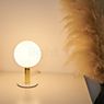 Pauleen Splendid Pearl Table Lamp gold application picture