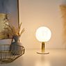 Pauleen Splendid Pearl Table Lamp gold application picture