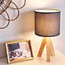 Pauleen Woody Love Table Lamp grey application picture