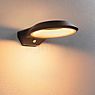 Paulmann Anela Applique LED anthracite