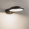 Paulmann Anela Applique LED anthracite