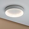 Paulmann Ardora Ceiling Light LED white application picture