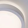 Paulmann Aviar Ceiling Light LED chrome - ø36 cm - Tunable White