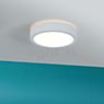 Paulmann Aviar Plafondlamp LED chroom - ø30 cm - 2.700 K , Magazijnuitverkoop, nieuwe, originele verpakking