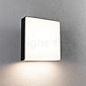 Paulmann Azalena Solar-Wall- and Ceiling Light LED anthracite