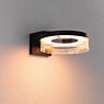 Paulmann Capera Wall Light LED anthracite