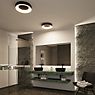 Paulmann Casca Ceiling Light LED black - 40 cm application picture