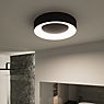 Paulmann Casca Ceiling Light LED black - 40 cm