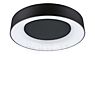 Paulmann Casca Ceiling Light LED black - 40 cm