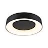 Paulmann Casca Ceiling Light LED black - 40 cm