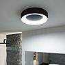 Paulmann Casca Ceiling Light LED black - 40 cm